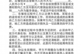 南部遇到恶意拖欠？专业追讨公司帮您解决烦恼